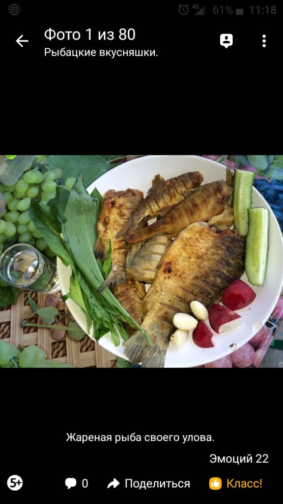 IMG-20180515-WA0067.jpg