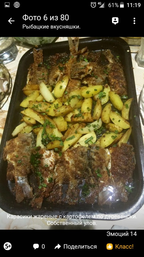 IMG-20180515-WA0077.jpg