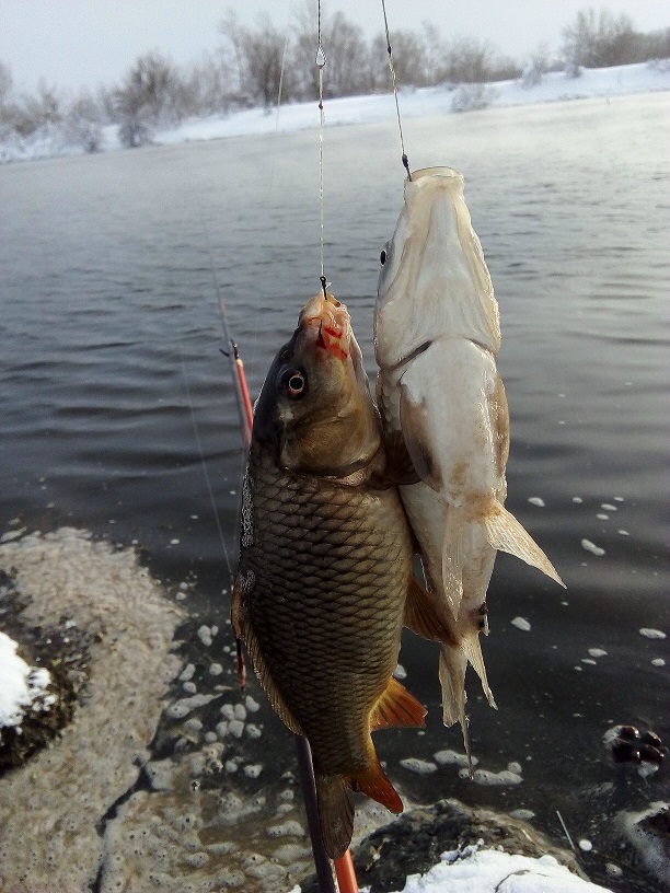 IMG_20190125_124047.jpg