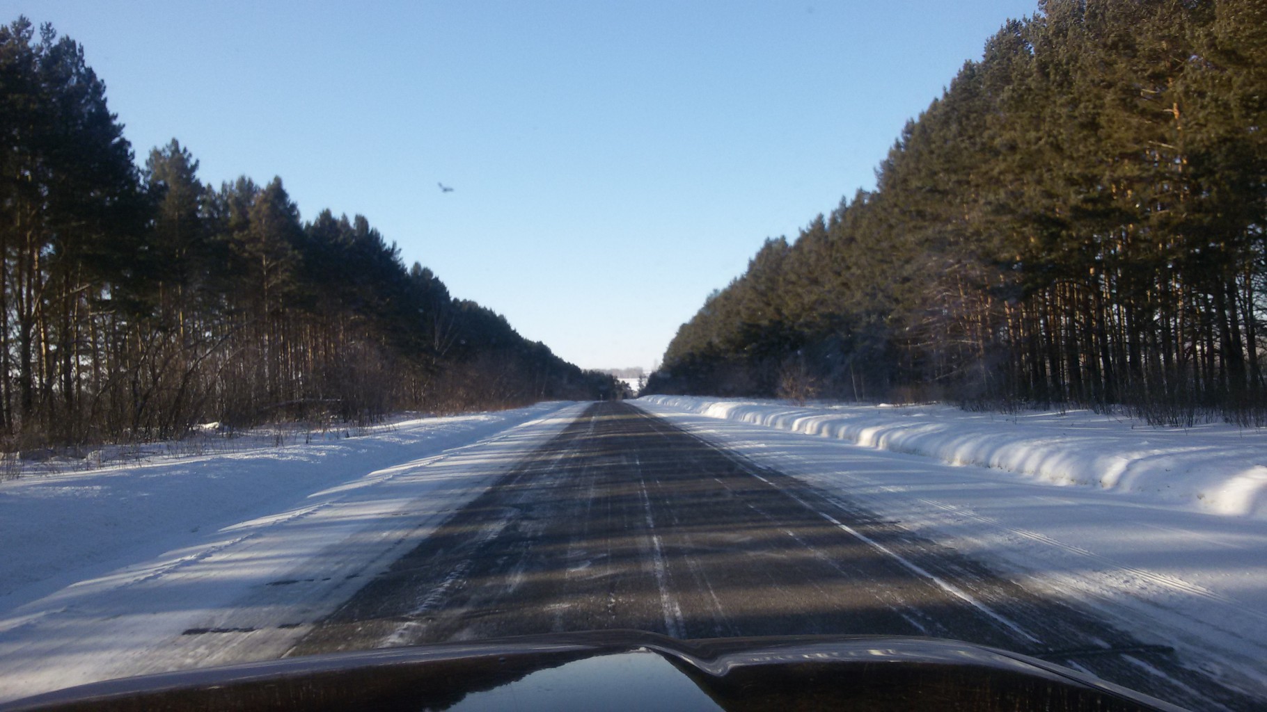 20190131_121013.jpg