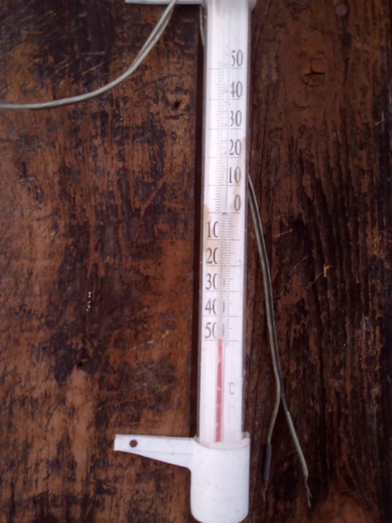 IMG-20190202-WA0000.jpg