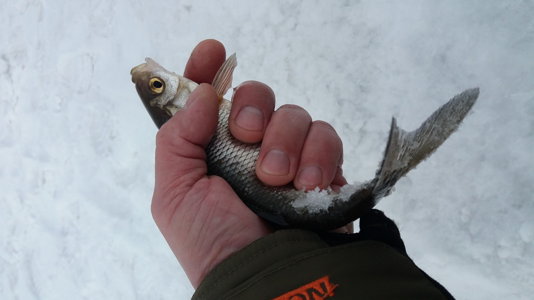 IMG-20190220-WA0042.jpeg