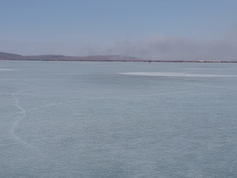 20190411_161541.jpg