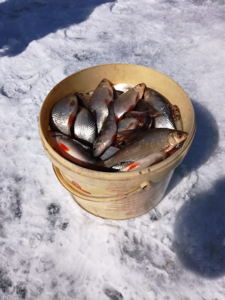 IMG-20190416-WA0003.jpg
