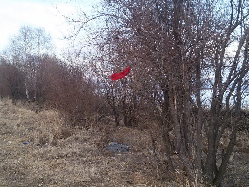 20190420_195006.jpg