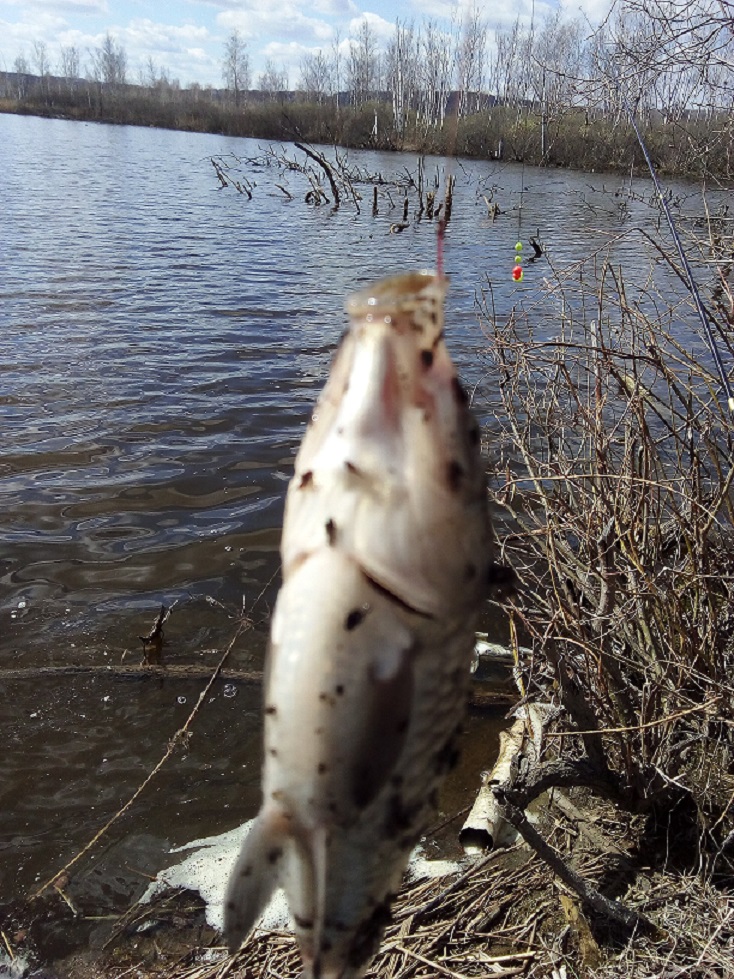 IMG_20190502_115615.jpg