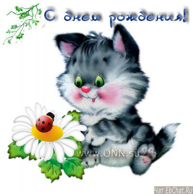 gallery_2_2_180336-web.png