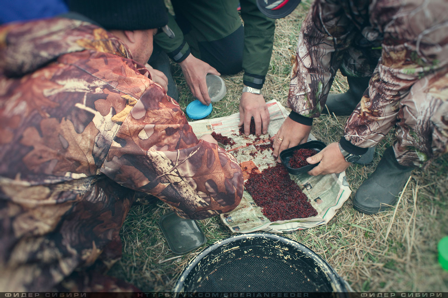 feeder_competition01.jpg