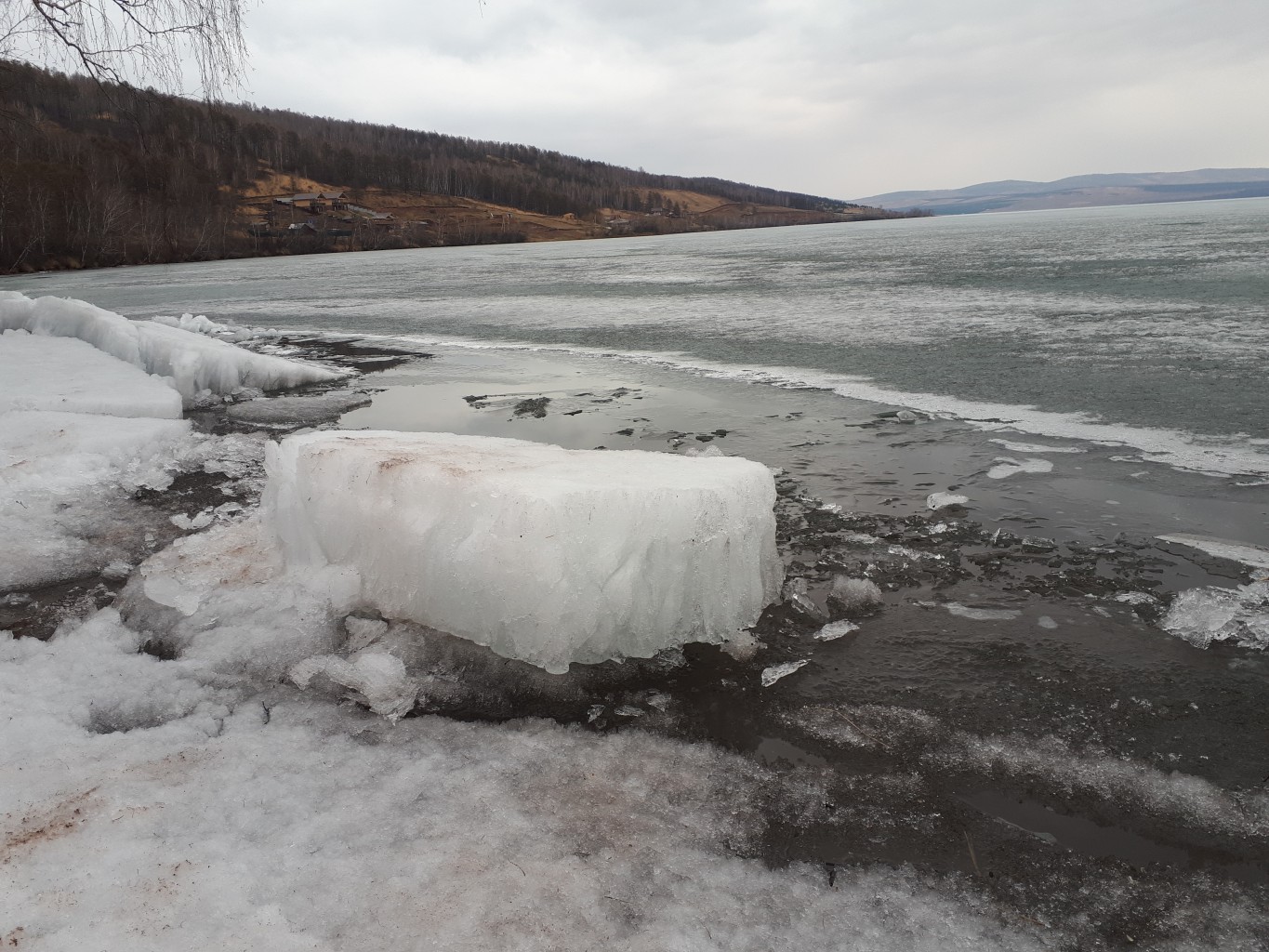 20190511_162316[1].jpg