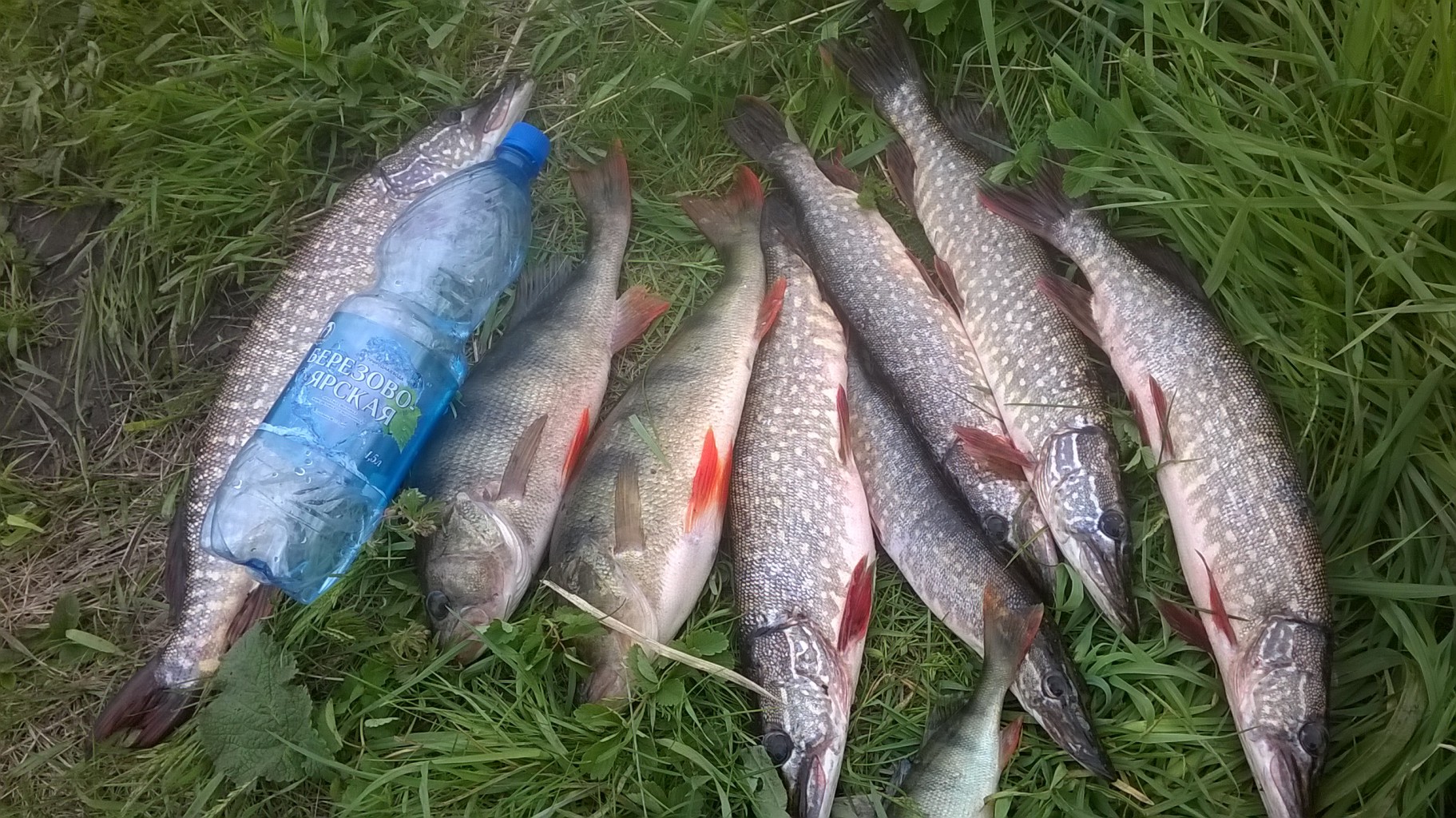 WP_20190603_18_30_17_Pro.jpg