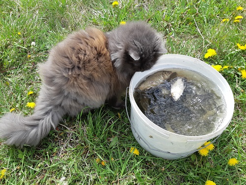 20190602_11564.jpg