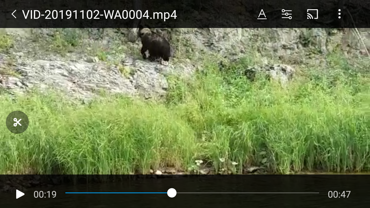 Screenshot_2019-11-10-16-48-13-980_com.miui.videoplayer.png