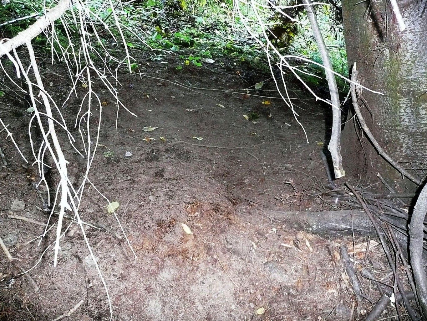 P1030008.JPG