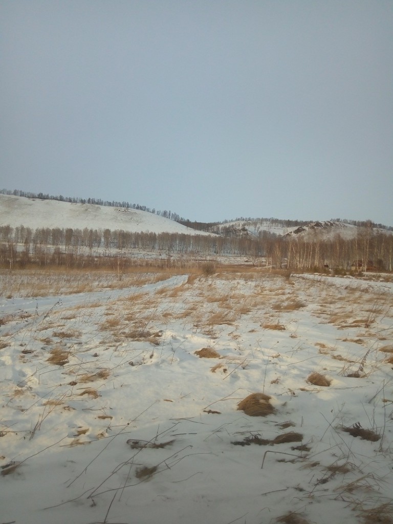 P91213-145331.jpg