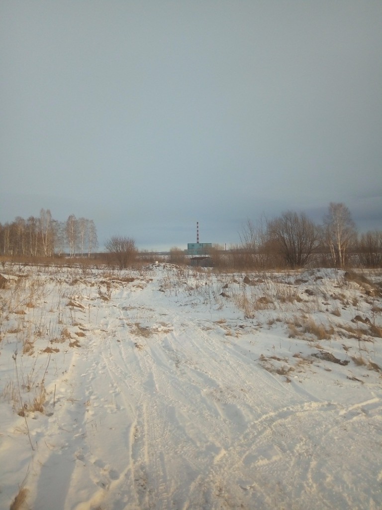 P91213-145341.jpg
