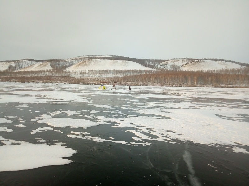P91213-153450.jpg