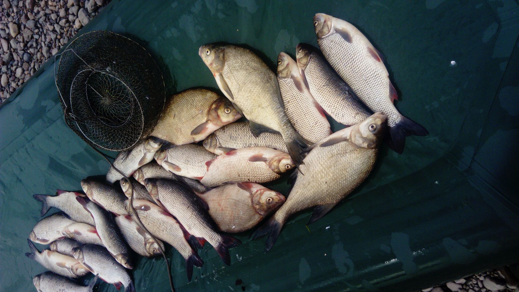 IMG-20200610-WA0006.jpeg