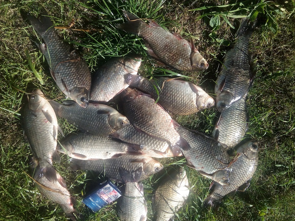 IMG_20200617_174153.jpg