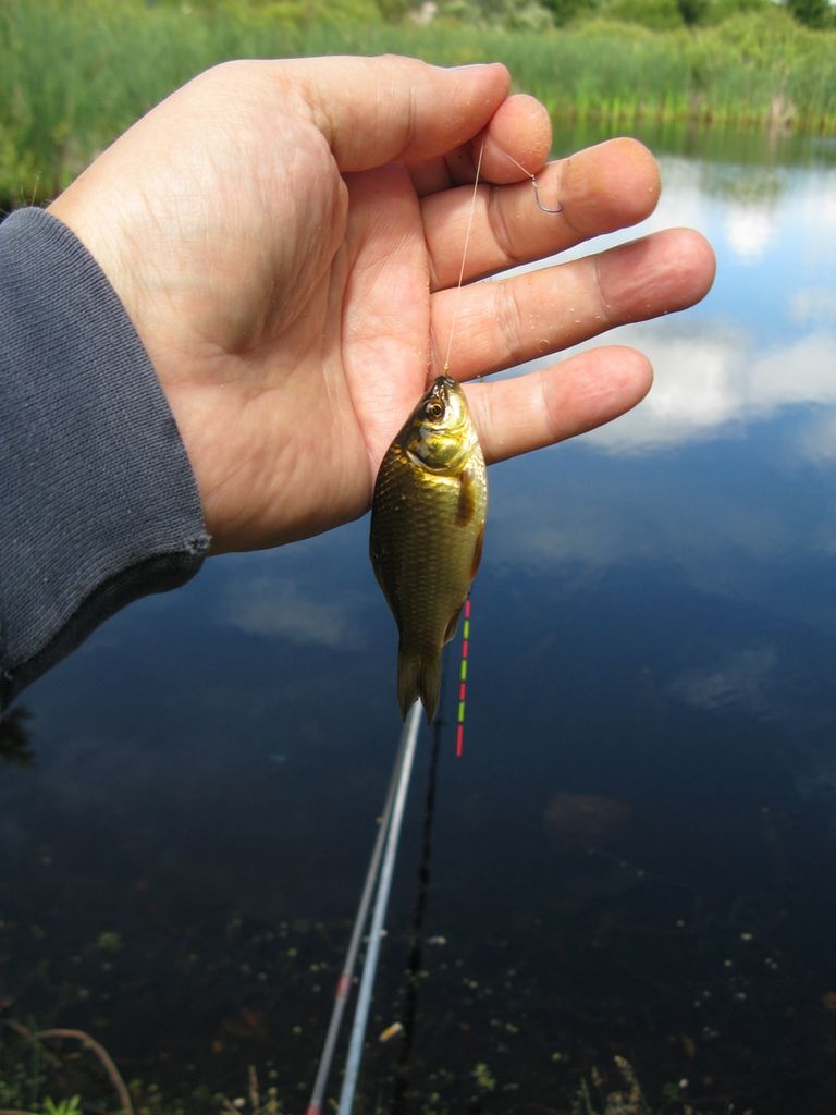 IMG_3883.JPG