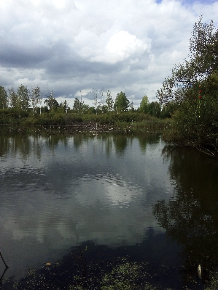 IMG_20200816_130320.jpg