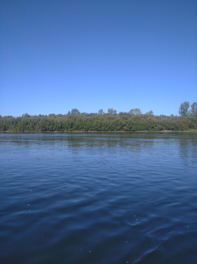 IMG_20200817_102715.jpg