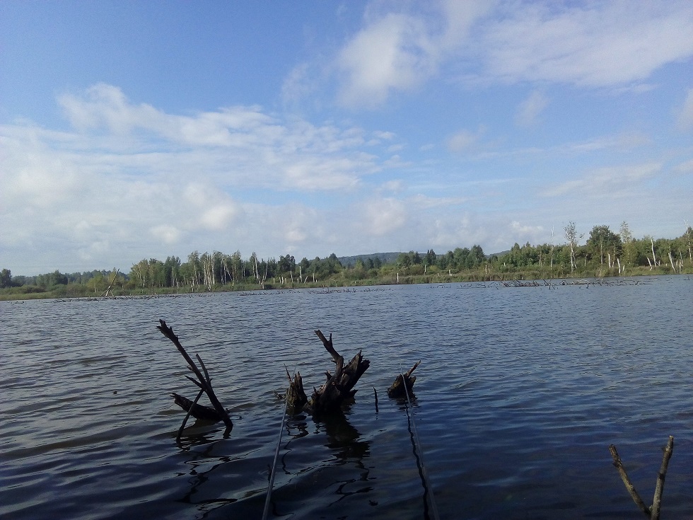 IMG_20200822_100145.jpg