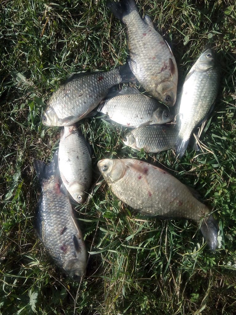 IMG_20200920_151743.jpg