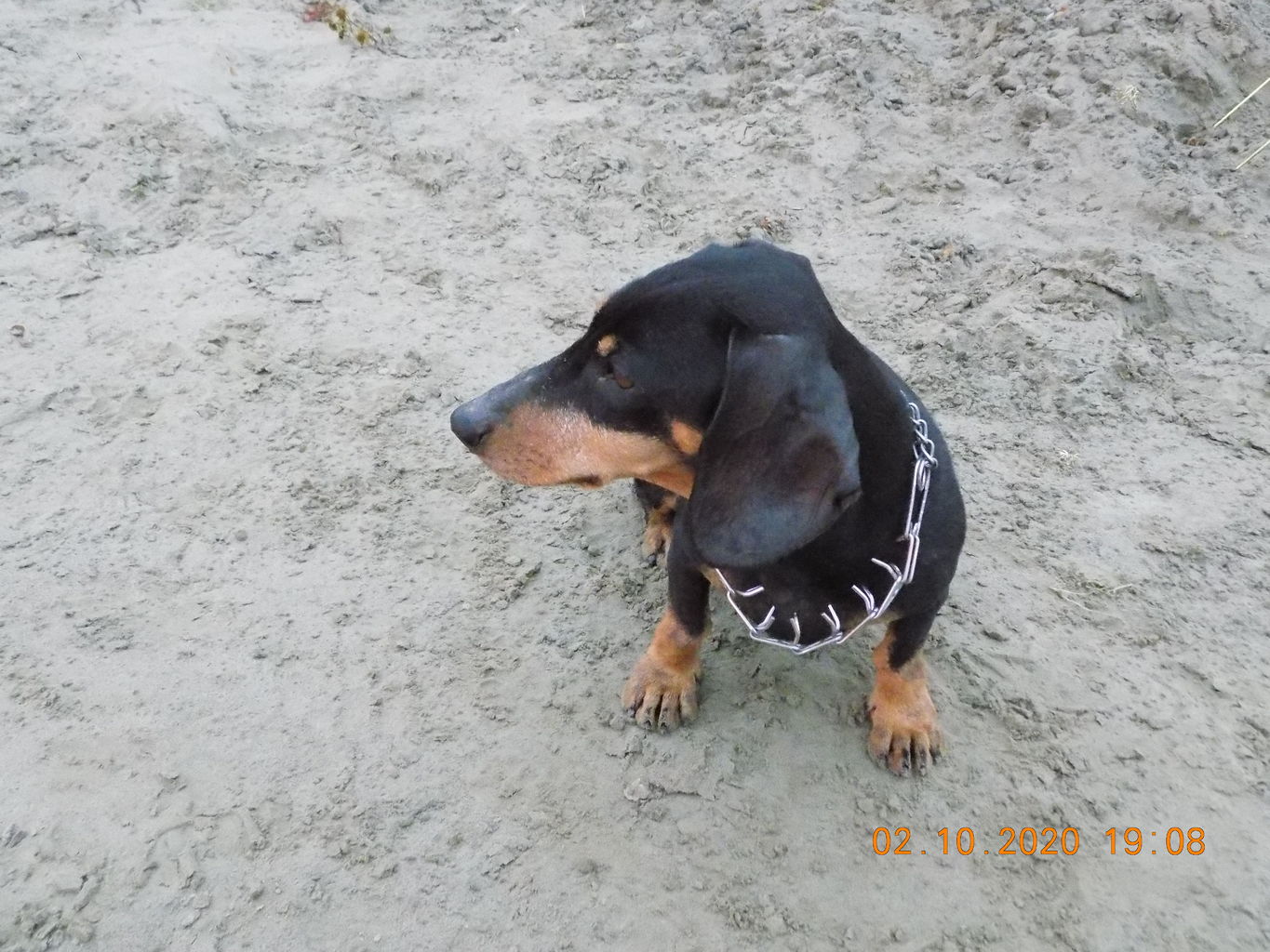 DSCN1680.JPG