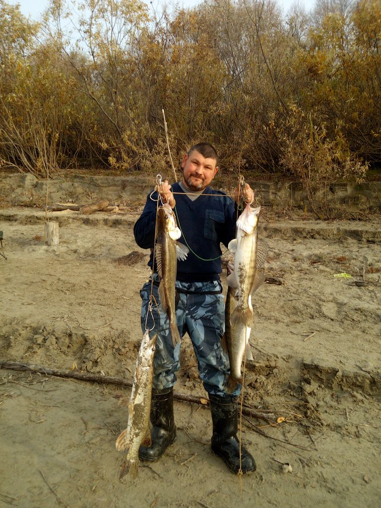 IMG_20201003_100157_4.jpg