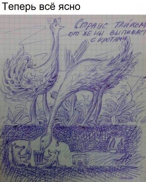 image.jpeg