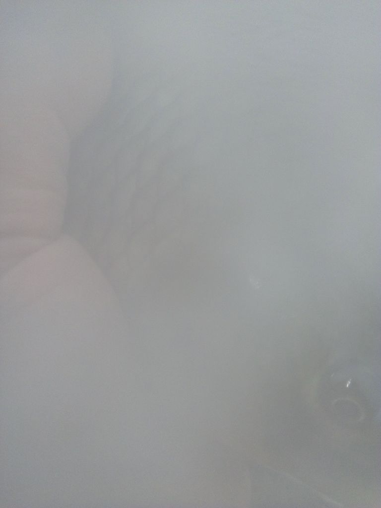 IMG_20210110_135308.jpg