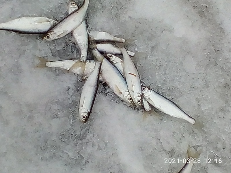 P10328-121657.jpg