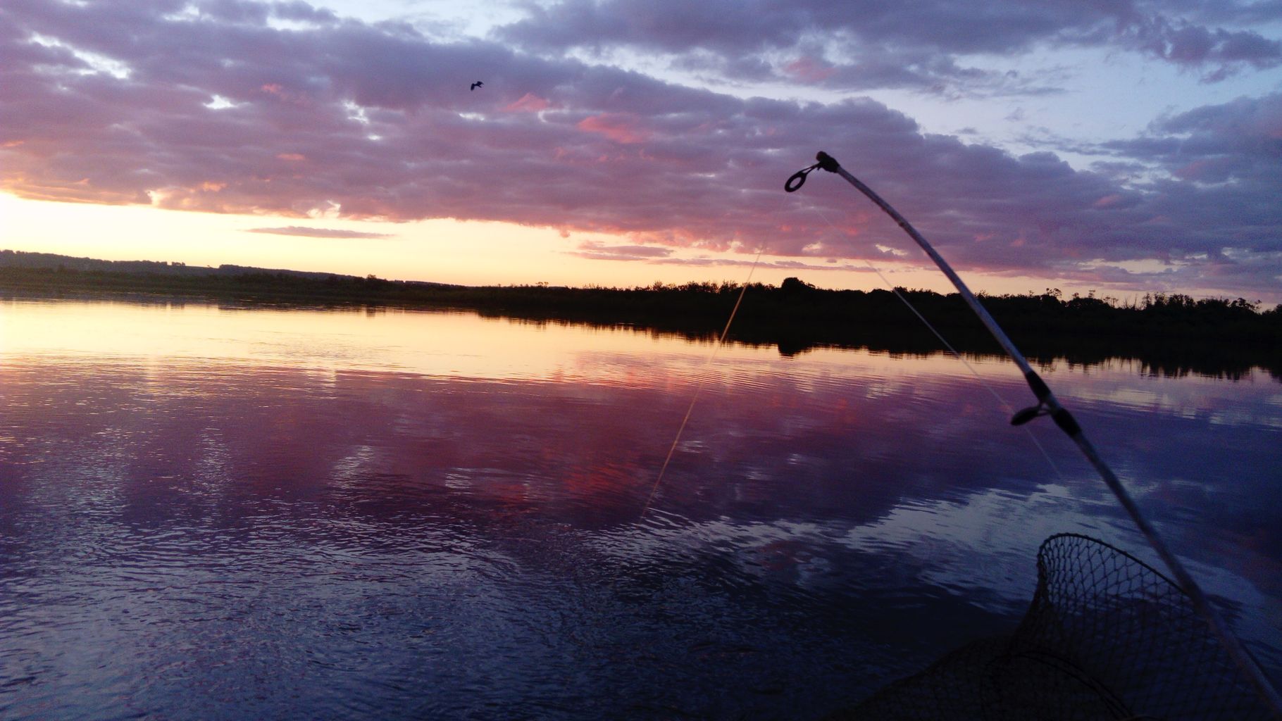 IMG-20210530-WA0000.jpeg