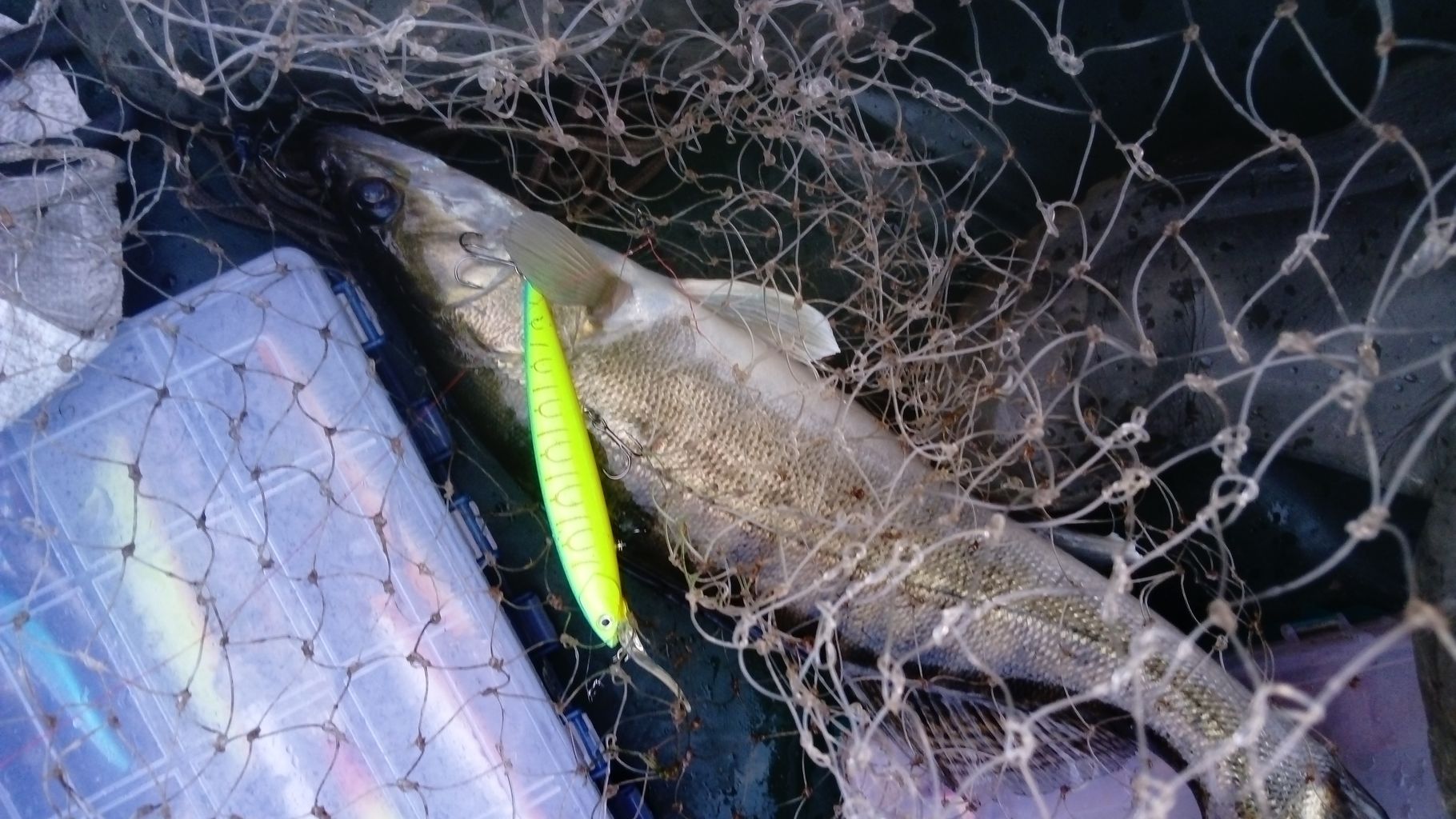 IMG-20210712-WA0000.jpeg