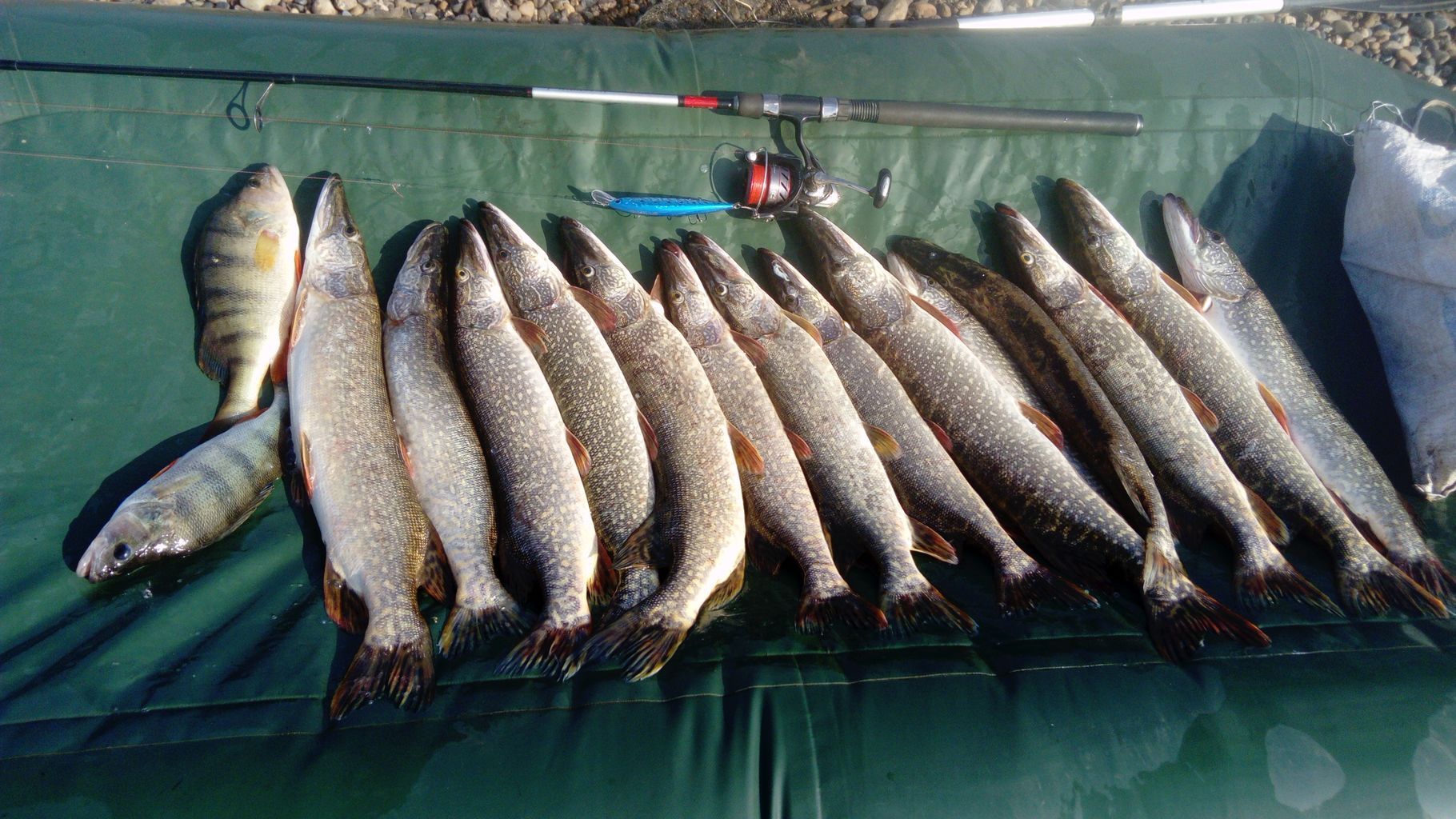 IMG-20210714-WA0004.jpeg