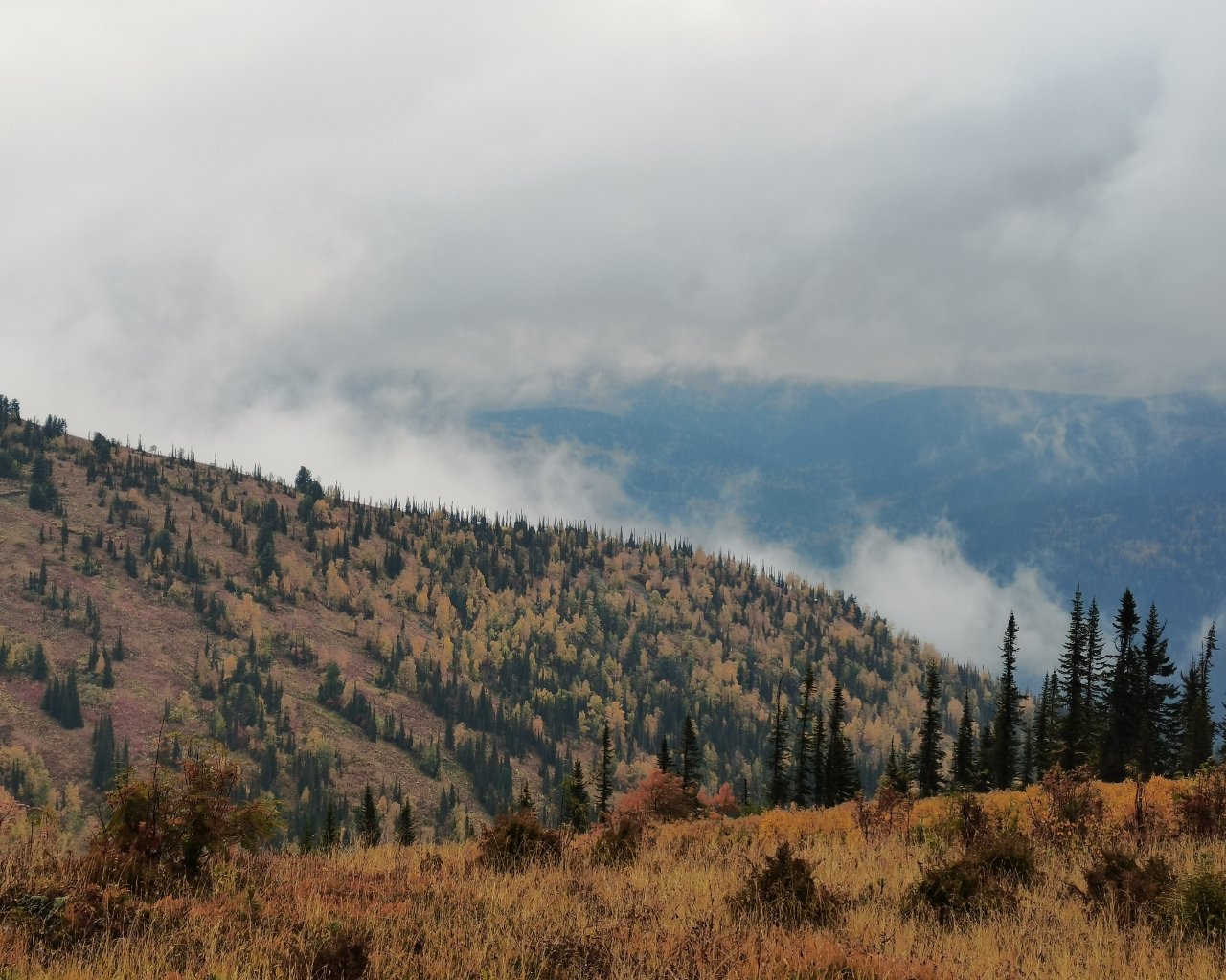 IMG_20210910_110136.jpg