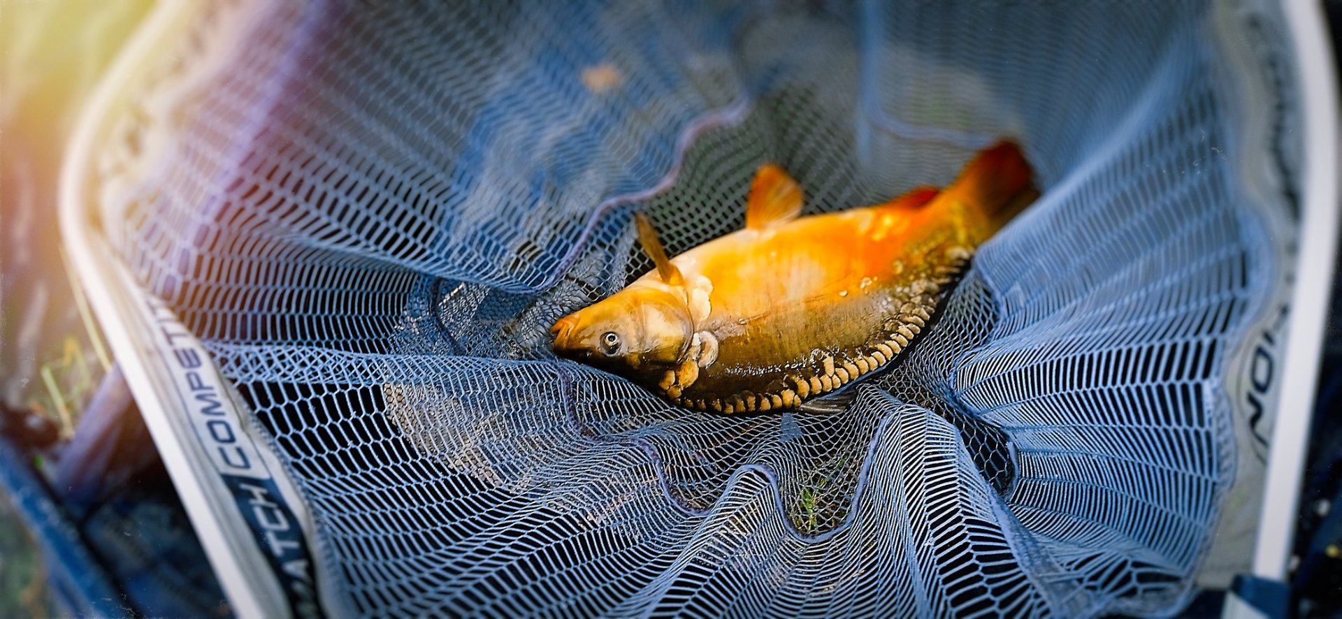 FeederCompetition35.jpg
