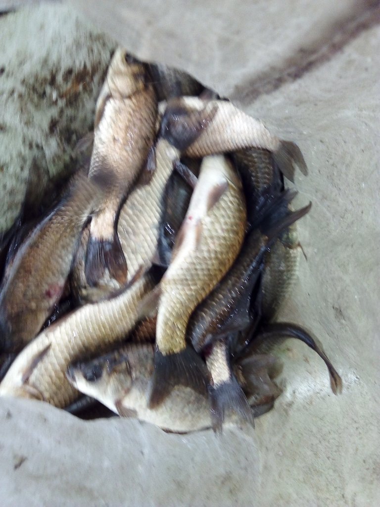 IMG_20220613_142454.jpg