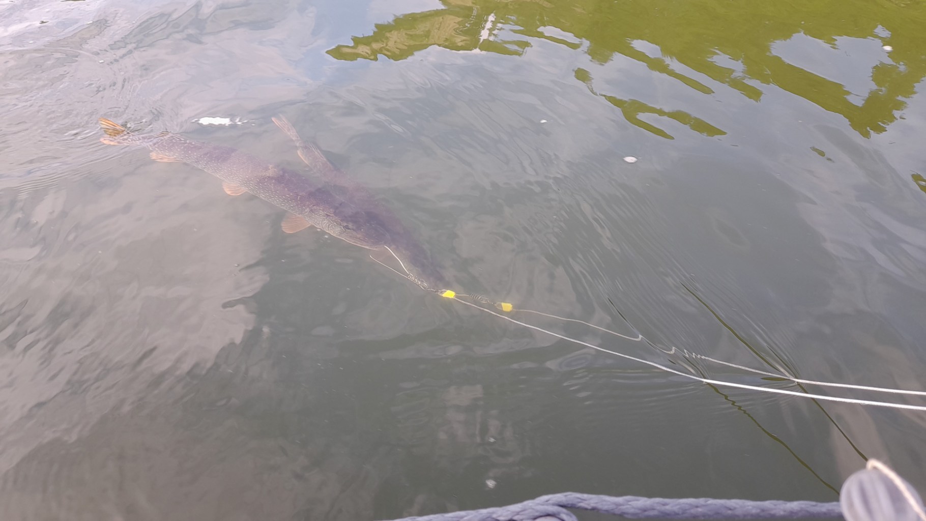 IMG-20220703-WA0002.jpeg