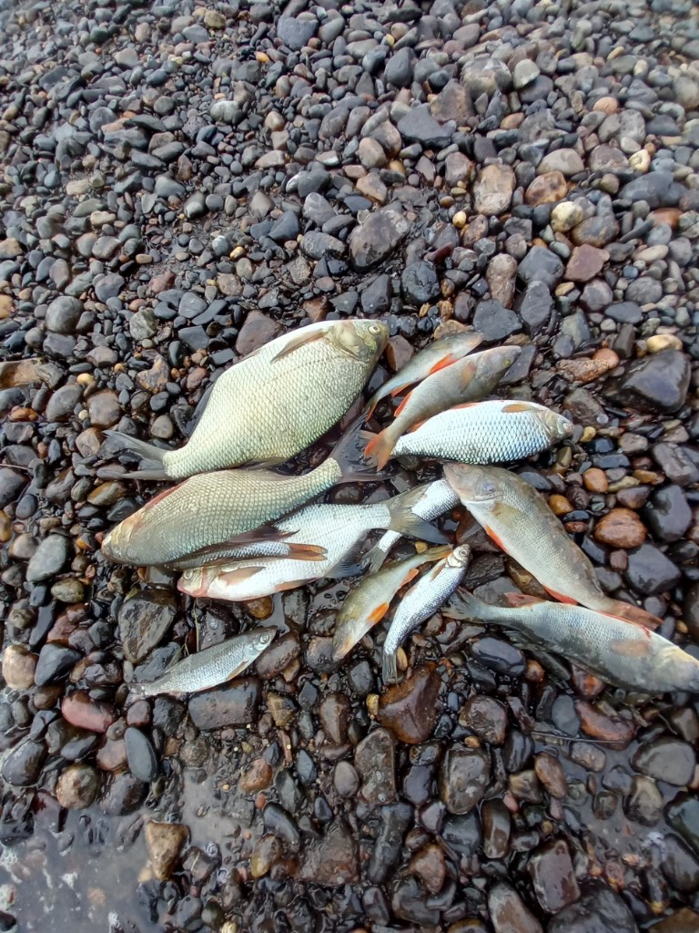 20220708_063233.jpg