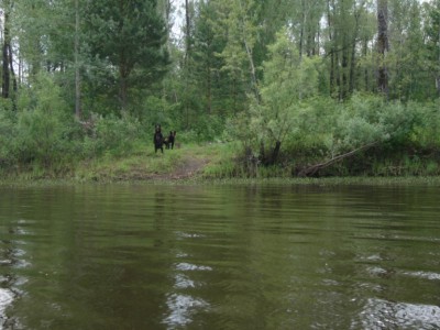 P0097.JPG