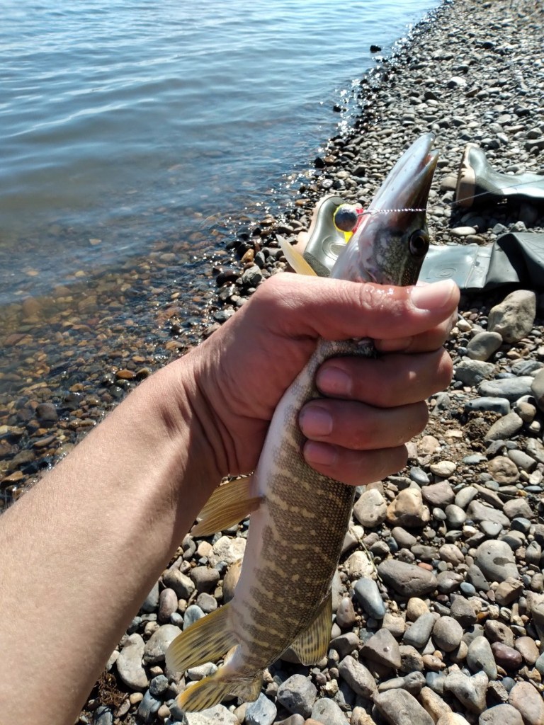 tmp20220711_154849.jpg