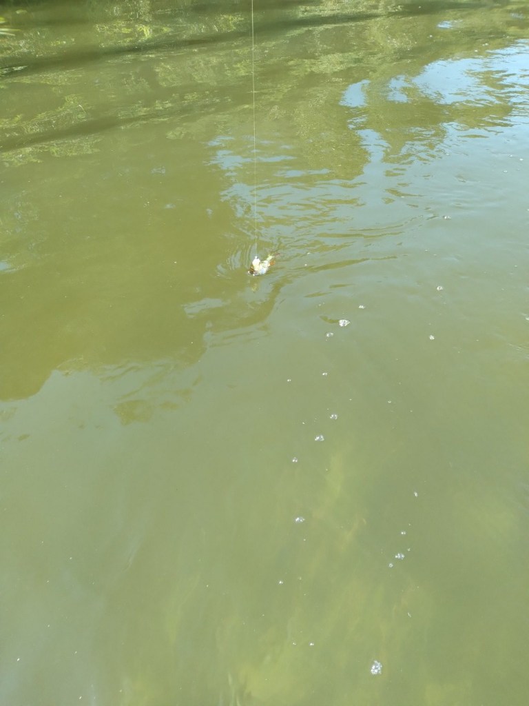 20220727_151041.jpg