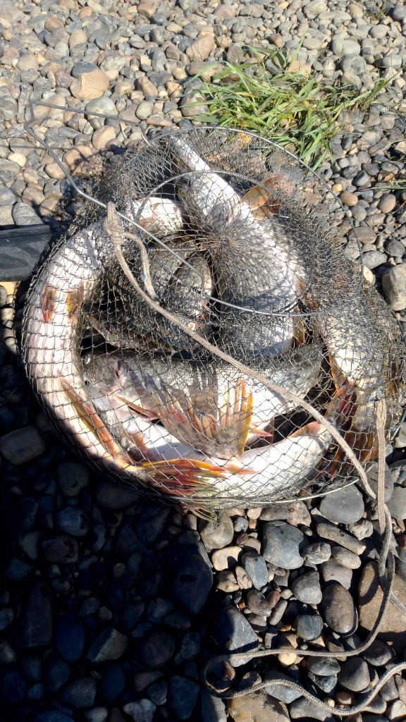 IMG-20220802-WA0000.jpeg