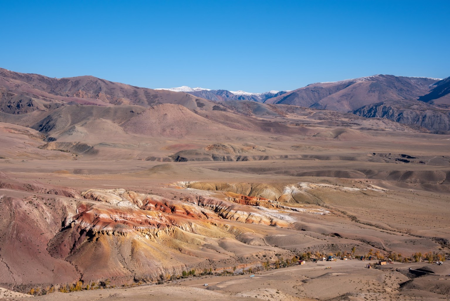 DSC_5679-1.jpg