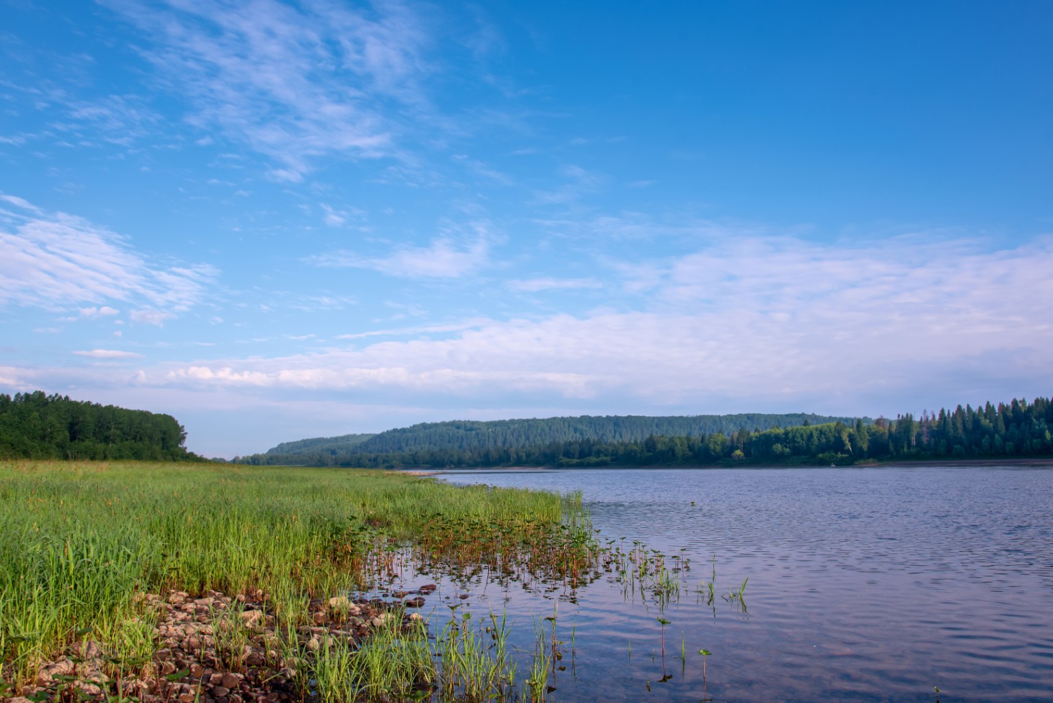 DSC_3633-1.jpg
