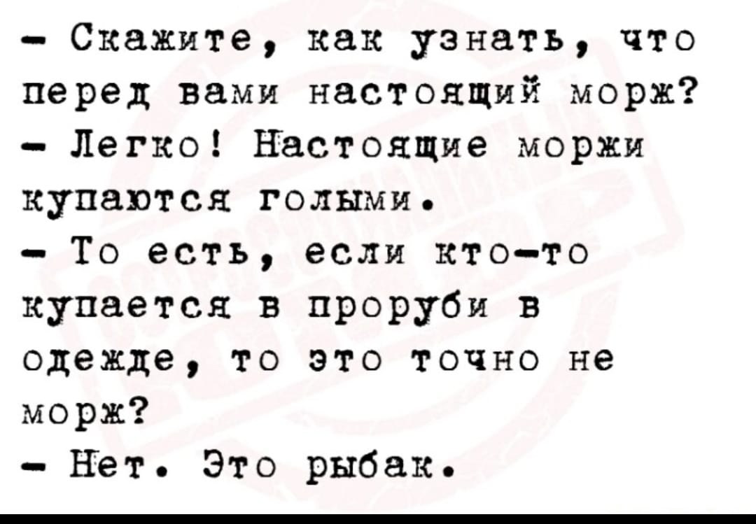 IMG-20221222-WA0004.jpg
