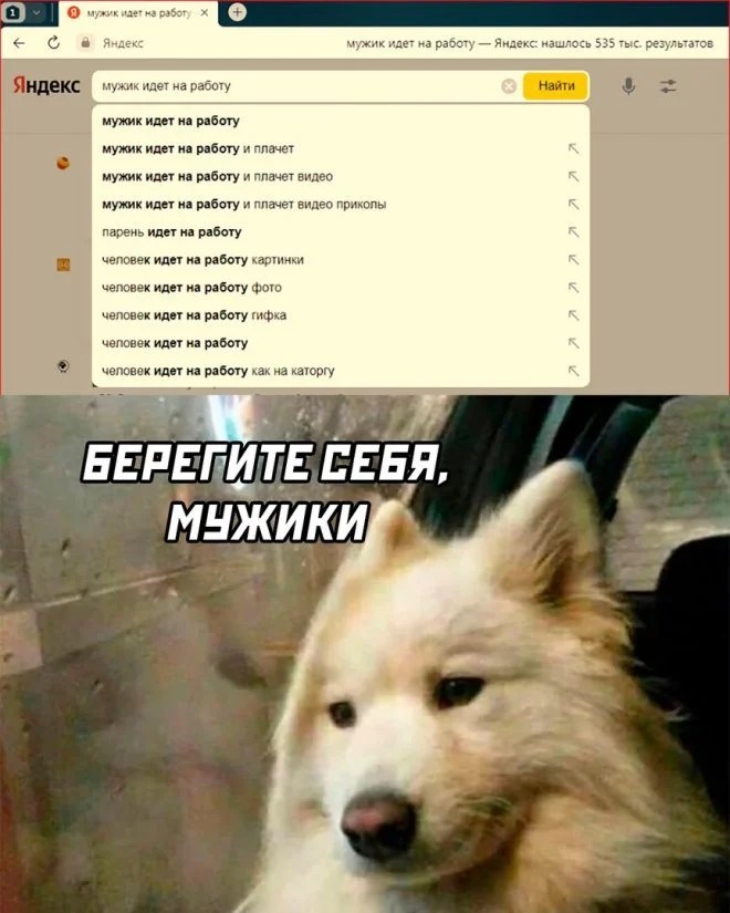 tmp2023-02-14.jpg