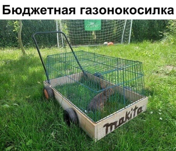 i (1).jpeg
