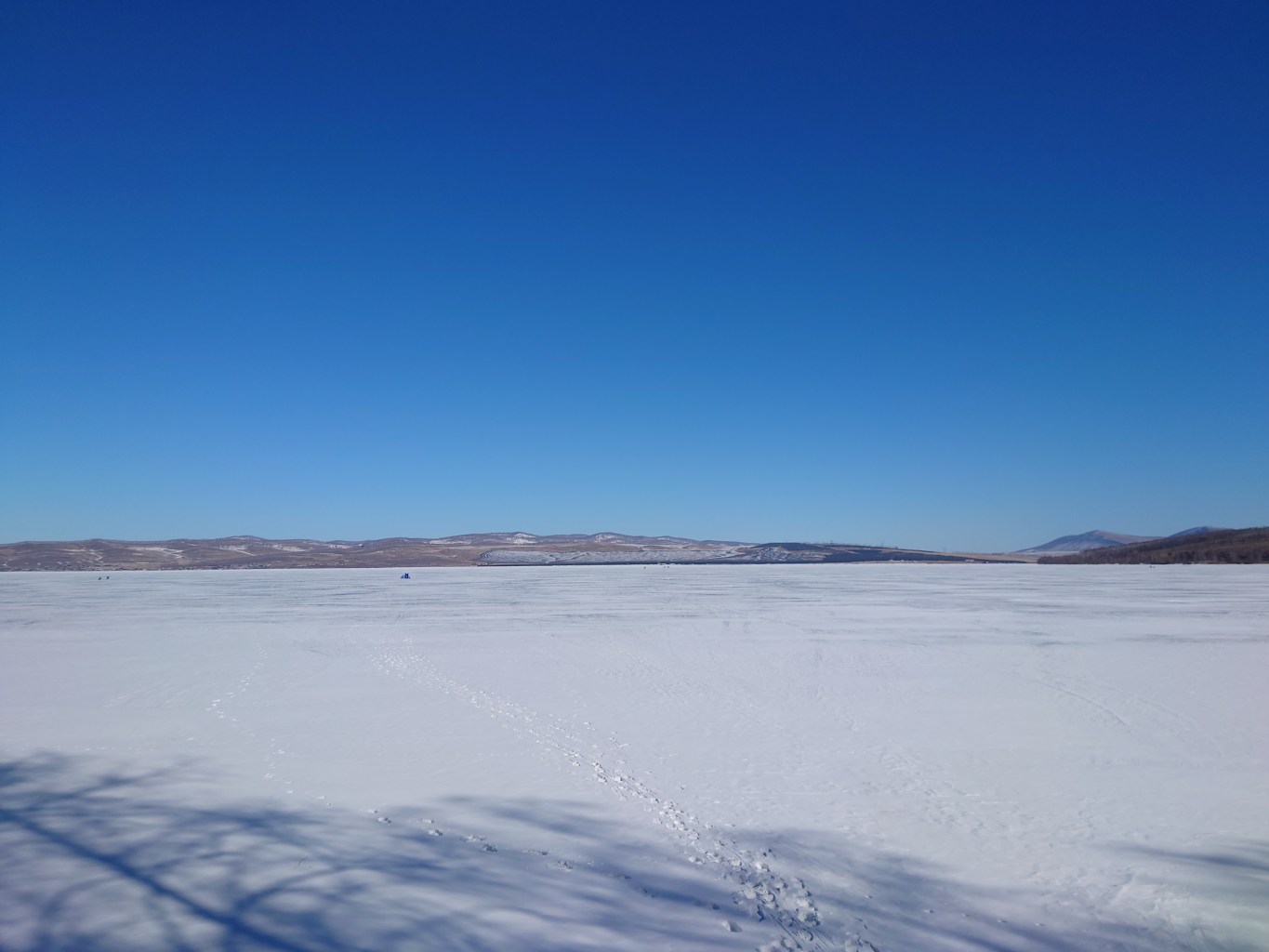 DSC_1664.JPG